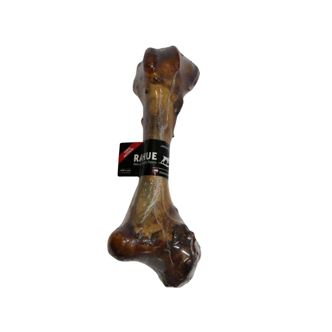 HUESO FEMUR DE VACUNO
