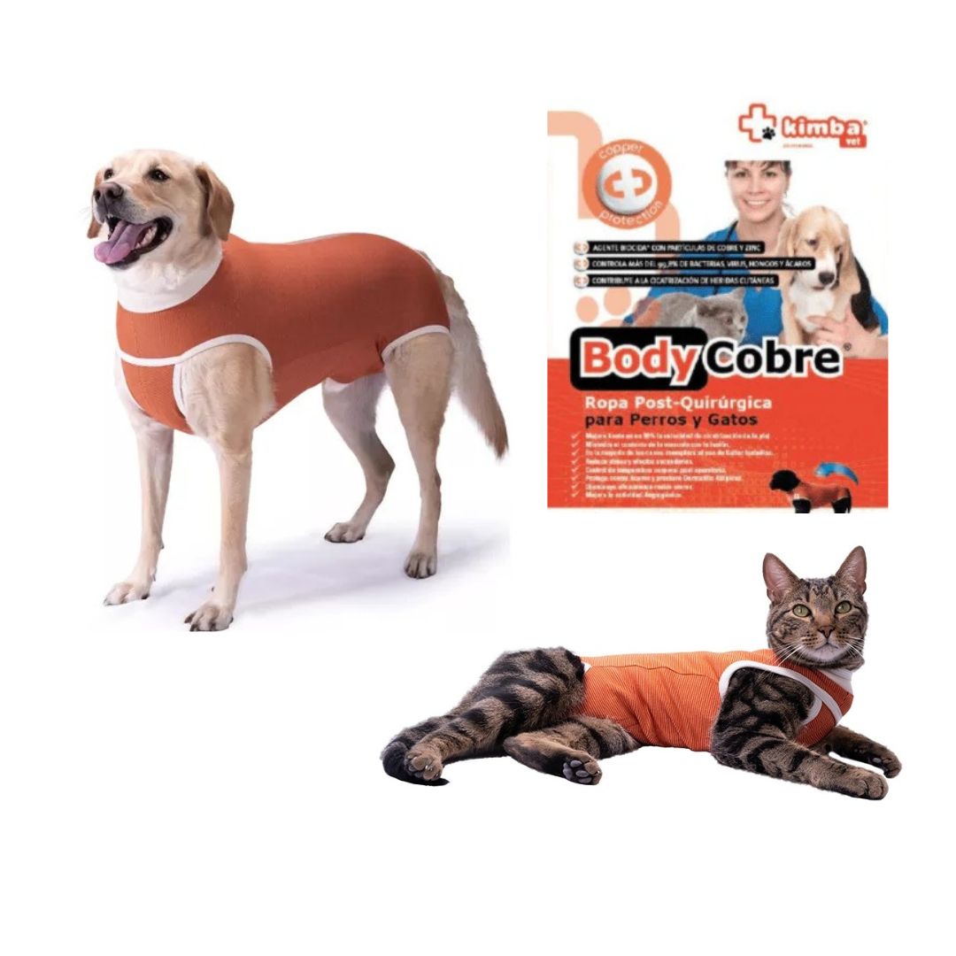 BODY  COBRE