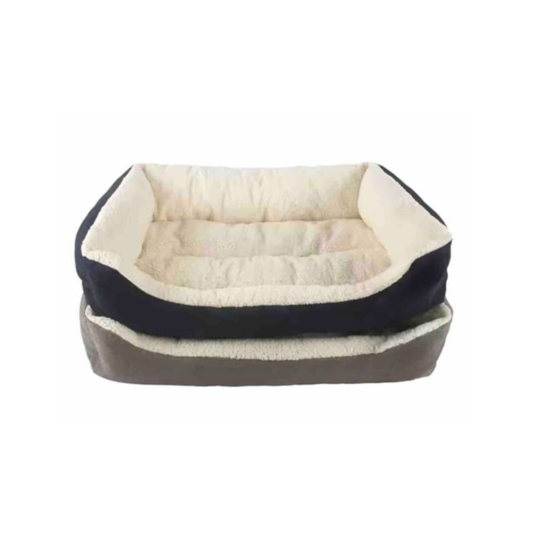 CAMA