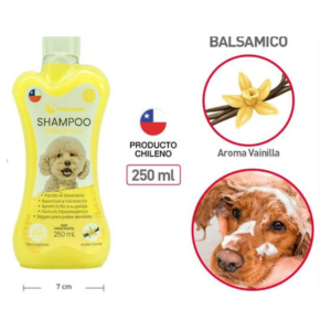 SHAMPOO.