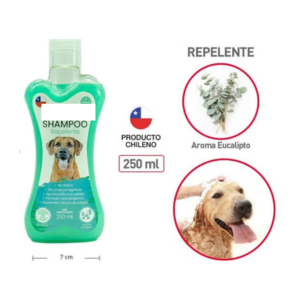 SHAMPOO.