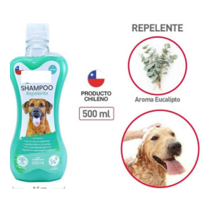 SHAMPOO.
