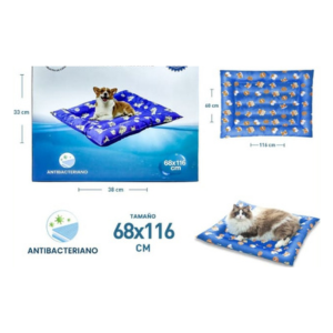 CAMA DE HIELO CUADRADA