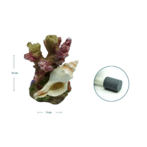 ACCESORIO
