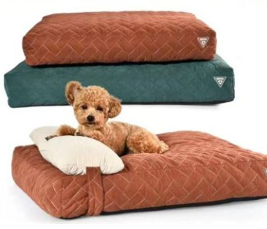 CAMA 