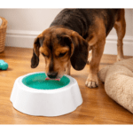 Plato Refrescante para Mascotas 21cm. – Bebedero Anticalor (Perros y Gatos) - Imagen 2