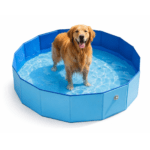 Piscina Plegable Gigante para Perros 160x30 cm – Refrescante y Resistente
