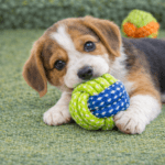 6und. ($740 c/u) - Pelota de Cuerda para Perro Trenzada 6.5 cm - Imagen 2