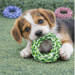 3und. ($2.330 c/u) - Aro de Cuerda para Perro Mordedor - Imagen 2