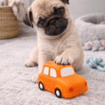 3und. ($890 c/u) - Juguete con Sonido para Mascotas - Imagen 2