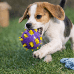 3und. ($3.680 c/u) - Pelota Mordedora para Perros 10 cm - Imagen 2