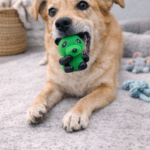 3und. ($560 c/u) - Panda de Goma con Sonido para Perros - Imagen 2