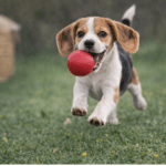 3und. ($1.340 c/u) - Pelota de Goma para Perros 6 cm - Imagen 2