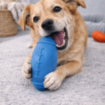 3und. ($6.890 c/u) - Mordedor de Goma para Perros con Sonido - Imagen 2