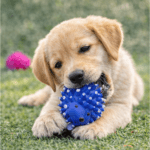 6und. ($780 c/u) - Juguete Erizo con Sonido para Perros de Goma 8 cm - Imagen 2