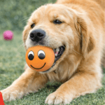 6und. ($780c/u) - Pelota para Perro con Sonido Cara Feliz de Goma 6 cm - Imagen 2