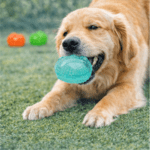 3und. ($2.480 c/u) - Mordedor para Perro Forma Rugby de Goma Texturizada 8 × 5 cm - Imagen 2