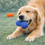 3und. ($2.390 c/u) - Mordedor para Perro Tipo Mancuerna de Goma Texturizada 19 × 6.5 cm - Imagen 2