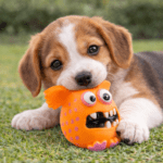 6und. ($1.140 c/u) - Juguete con Sonido para Perro - Imagen 2