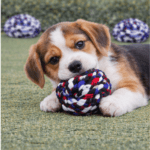 6und. ($1.040 c/u) - Pelota de Cuerda para Perro Trenzada 7 cm - Imagen 2