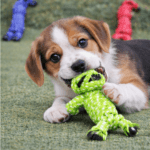 6und. ($1.190 c/u) - Juguete de Cuerda para Perro Mordedor con Nudos 34 × 5 cm - Imagen 2