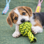 3und. ($2.030 c/u) - Juguete de cuerda - Imagen 2