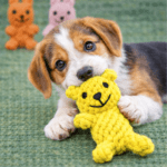 3und. ($2.630 c/u) - Juguete de Cuerda para Perro Conejo Mordedor - Imagen 2