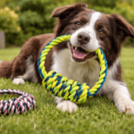 3und. ($2.480 c/u) - Juguete de cuerda para perros con aro y nudo central - Imagen 2