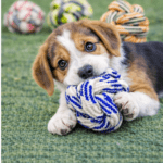 3und. ($4.490 c/u) - Pelota de Cuerda para Perro Extra Resistente - Imagen 2