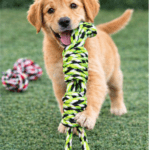 3und. ($4.790 c/u) - Juguete de Cuerda para Perro con Doble Agarre y Nudos - Imagen 2