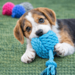 6und. ($1.640 c/u) - Juguete de Cuerda para Perro con Pelota y Nudos - Imagen 2