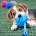 6und. ($1.640) - Juguete de Cuerda para Perro con Pelota y Nudo - Imagen 2