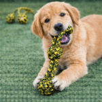 6und. ($1.080 c/u) - Juguete de Cuerda para Perro - Imagen 2