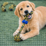 6und. ($1.310 c/u) - Juguete de Cuerda para Perro con Pelota y Mordedor Dental - Imagen 2