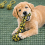 3und. ($3.980 c/u) - Juguete de Cuerda para Perro - Imagen 2