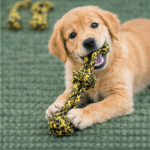 6und. ($1.640 c/u) - Juguete de Cuerda para Perro - Imagen 2