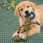 3und. ($1.730 c/u) - Juguete de Cuerda para Perro Figura con Aro Mordedor 30 cm - Imagen 2