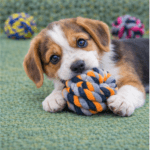 6und. ($740 c/u) - Pelota de Cuerda para Perro Mordedora 5 cm - Imagen 2