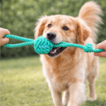 6und. ($1.640 c/u) - Juguete Mordedor de Cuerda para Perro con Asa y Pelota - Imagen 2