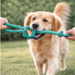 6und. ($1.380 c/u) - Juguete de Cuerda para Perro con Anillo de Goma y Asa - Imagen 2