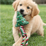 6und. ($1.490 c/u) - Juguete Navideño para Perros Árbol con Cuerda - Imagen 2