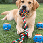 3und. ($1.580 c/u) - Juguete de Cuerda con Pelota para Perros - Imagen 2