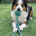 6und. ($1.490 c/u) - Juguete de Cuerda con Asa para Perros - Imagen 2