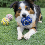 6und. ($1.430 c/u) - Pelota de Cuerda para Perros 10 cm - Imagen 2