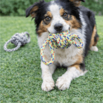 6und. ($1.490 c/u) - Juguete de Cuerda con Nudo para Perros - Imagen 2