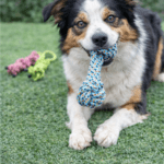 3und. ($1.730 c/u) - Juguete de Cuerda con Asa y Nudos para Perros - Imagen 2