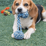 6und. ($590 c/u) - Juguete de Cuerda con Nudos para Perros - Imagen 2