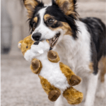 3und. ($4.940 c/u) - Juguete para Perros Peluche Ardilla con Sonido - Imagen 2