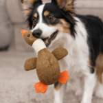 3und. ($2.990 c/u) - Juguete para Perros Peluche Pato - Imagen 2