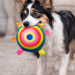 3und. ($1.580 c/u) - Juguete para Perros Peluche Circular Multicolor - Imagen 2